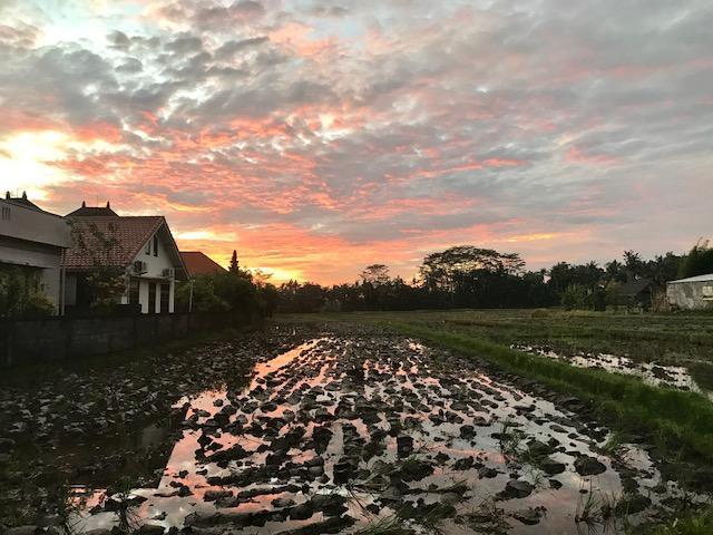 Heavenly View Villa Ubud Buitenkant foto
