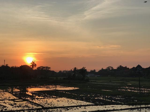 Heavenly View Villa Ubud Buitenkant foto