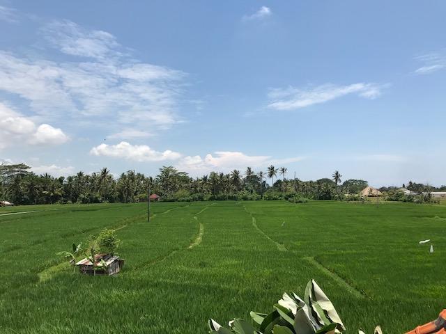 Heavenly View Villa Ubud Buitenkant foto