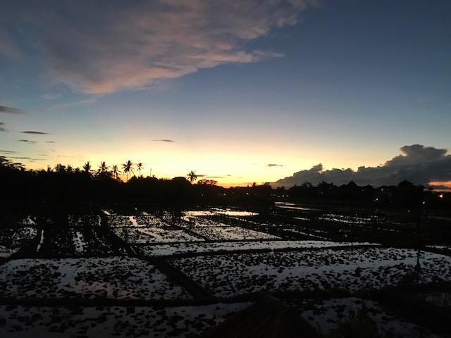 Heavenly View Villa Ubud Buitenkant foto