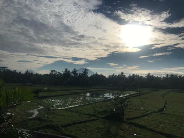 Heavenly View Villa Ubud Buitenkant foto